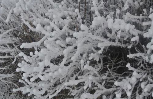 résidence Le Platé - Foto 10