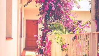 El Penell Apartament Llevant - Foto 4