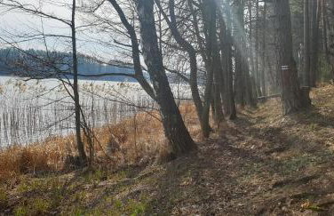 Domek Pod Mazurskim Lasem - Foto 21