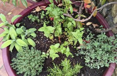 La casetta di Dora - Photo 47