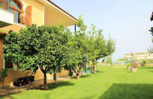 Athens Countryside resort with pool - Foto 33