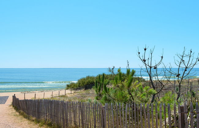 Les Etrilles - Foto 19