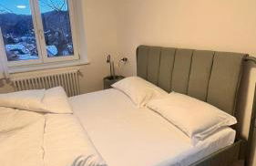 Trentino Apartments - Villa orso Bruno - Foto 5