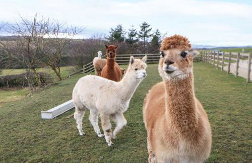 High Church Hill - Photo 57