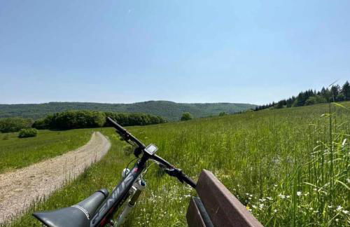 Ferienwohnung zum Märchenwald - Foto 54