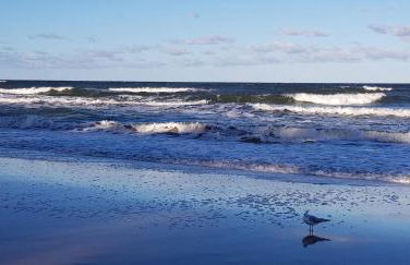 Ferienhaus Rennschmid Insel Usedom in Netzelkow - Foto 18