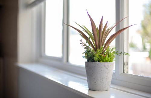 Sea Road Apartments - Photo 38