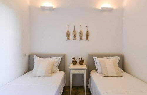 Archipelagotinos - Foto 51