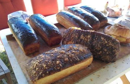 Dom Gościnny Ogłuszka - Foto 10