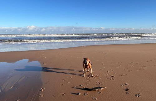 Sandpiper Seaside Maisonette - Foto 9