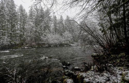 Zoe's Log Cabin - Foto 46