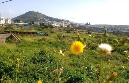 La Pernocta - Foto 13