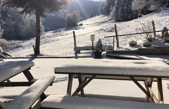 Exclusive Group House in Winterberg in the Forest - Photo 71