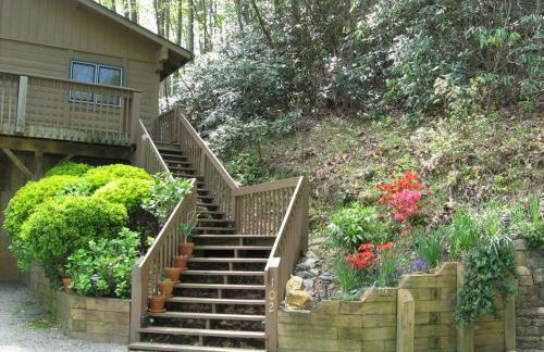 Top of the Line Asheville Mountain Cabin - Foto 55