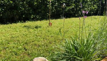 Casavacanze estate 2 - Foto 2, Garden view