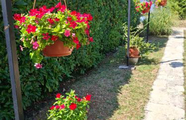 Apartment Nena- apartman sa posebnim ulazom u prizemlju, terasom i zelenom okućnicom - Foto 26