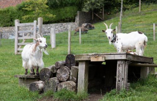 Upper Vobster Farm - Foto 66