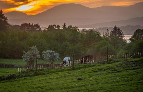 Super King Lodge-Sleeps 2-HotTub-Sea View - Foto 30