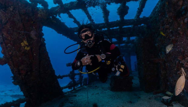 Exploration de l'épave à Puerto Morelos