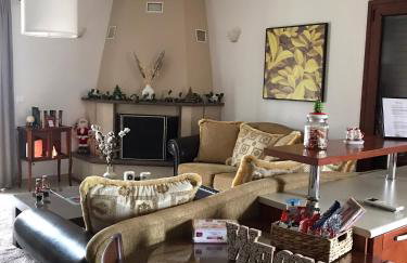 Eleousa Apartment Ioannina - Foto 1