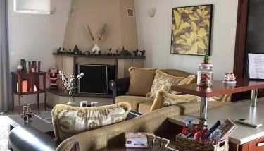 Eleousa Apartment Ioannina - Foto 1