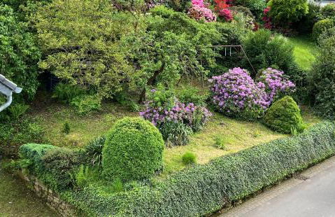 Ferienhaus EifelOne - Panorama - Foto 40