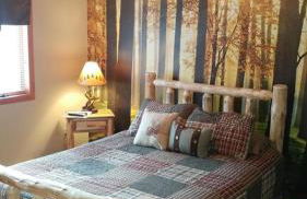 Pocono Mountain Retreat - Foto 26