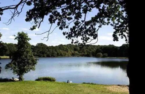 ZEcamping 3 étoiles animaux acceptés piscine et restaurant - Foto 38