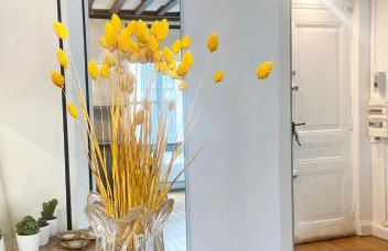 Electra mini-studio - Foto 10