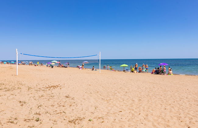 Hipocampo - Photo 21