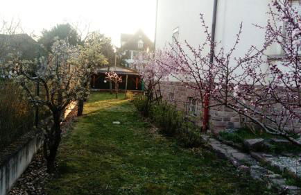 Gîte "La Baloise" - Foto 19