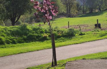 Brecon Beacons Lovely cottage with stunning views - Photo 22