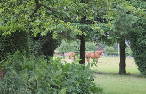 Spreewälder Schwalbenhof - Ferienwohnung "Nistkasten" - Foto 21