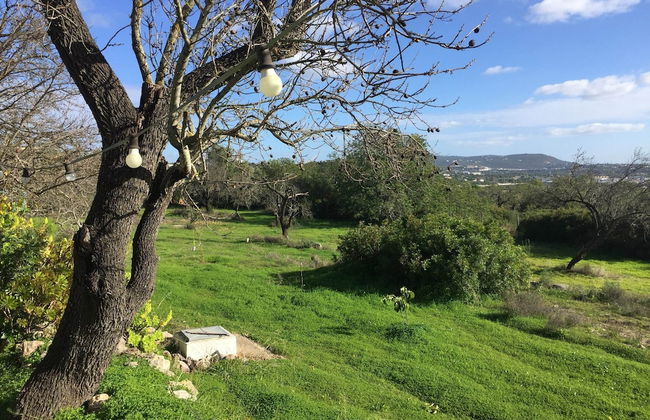 Attractive Portuguese Farm With Modern Decoration - Photo 23