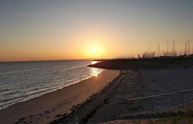 Holiday Home in Zeeland With Sauna - Photo 38