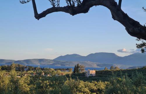 Ktirakia Studios - Foto 60