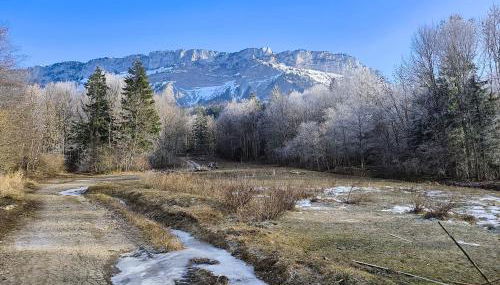 Le Cocon de Plainpalais - Foto 3
