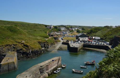 1 Bed in St Davids 62569 - Foto 19