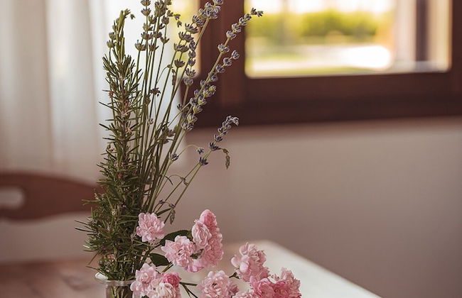 Agriturismo Querceto - Photo 59