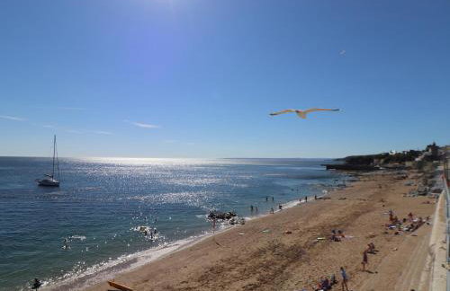 Rock Lobster - Foto 39