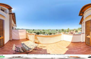 Agriturismo IL VECCHIO OLIVO - Foto 30