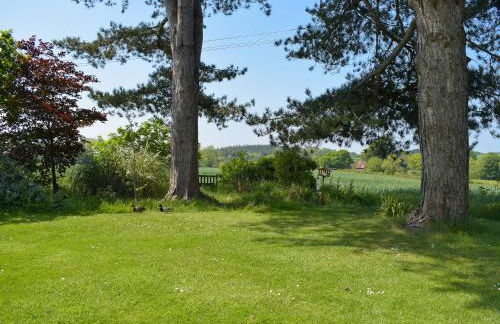 Bella Vista - Photo 8