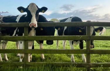 Summer Cottage in Onecote - Foto 18