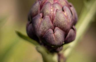 Alda House - Foto 77