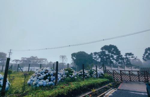 Cabanas Pôr do Sol - São Chico - Foto 51