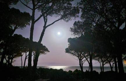 Beachhouse Casa del Mare Sardegna - Foto 21