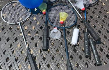 Amazing Acorn - Foto 33