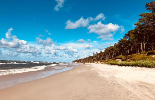 Piękny domek z dużym ogrodem - Foto 39