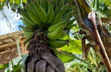 Loft na Rondinha - Foto 7