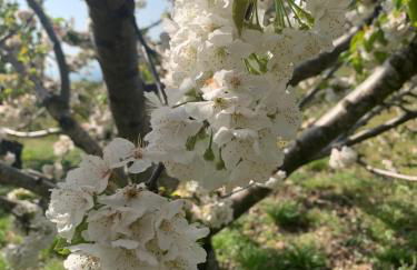Apartamentos Turísticos Huerto El Horno - Foto 60
